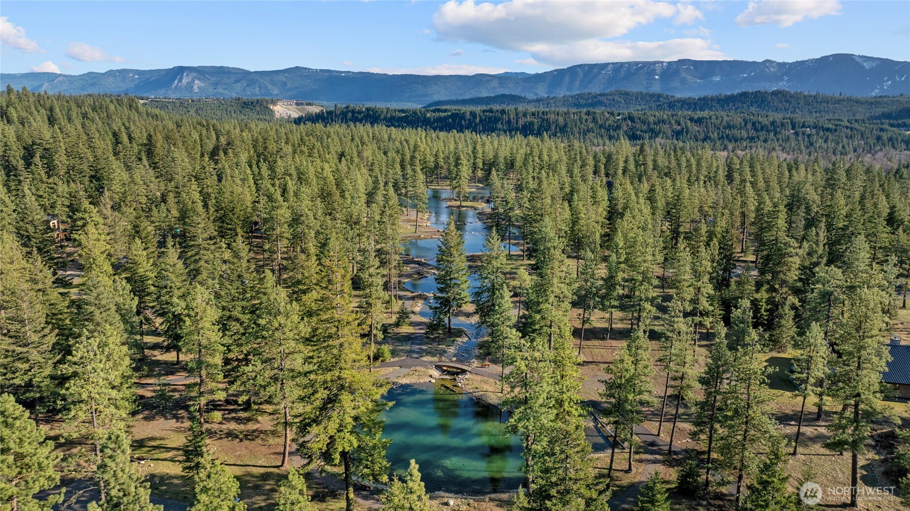 Scenic woodland with a winding waterway.