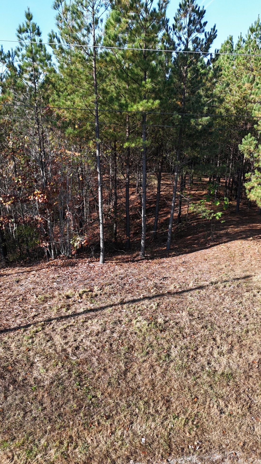 3020 Mcgee Rd