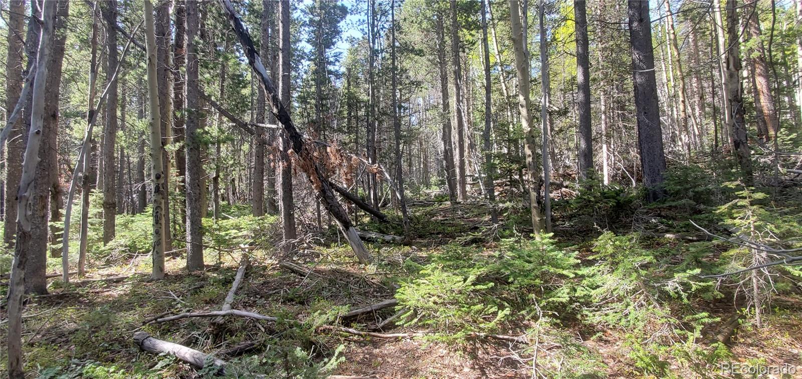 Lot 3031 Bolwell Lane