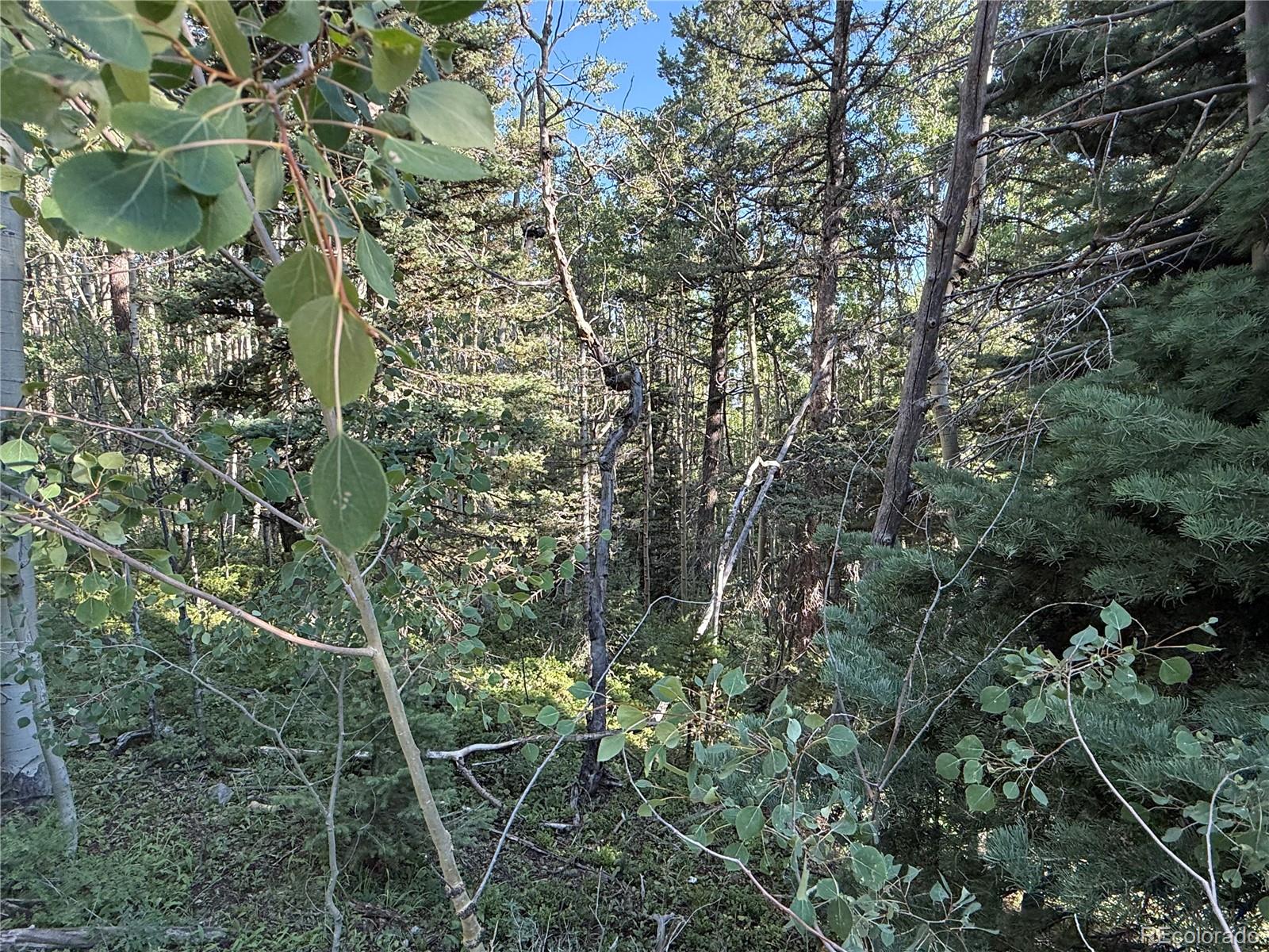 Lot 5331 Hull Road