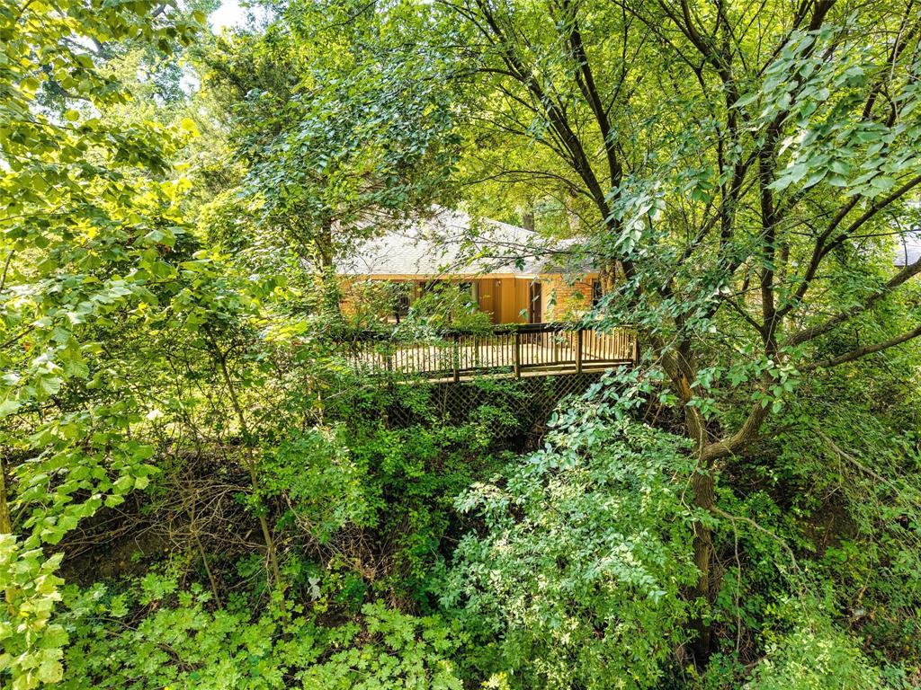 319 Cedar Creek Street