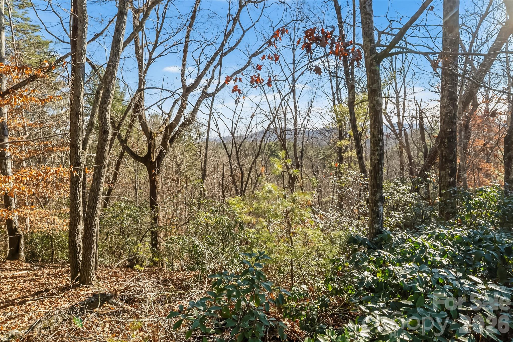 961 High Trail Drive 35-11