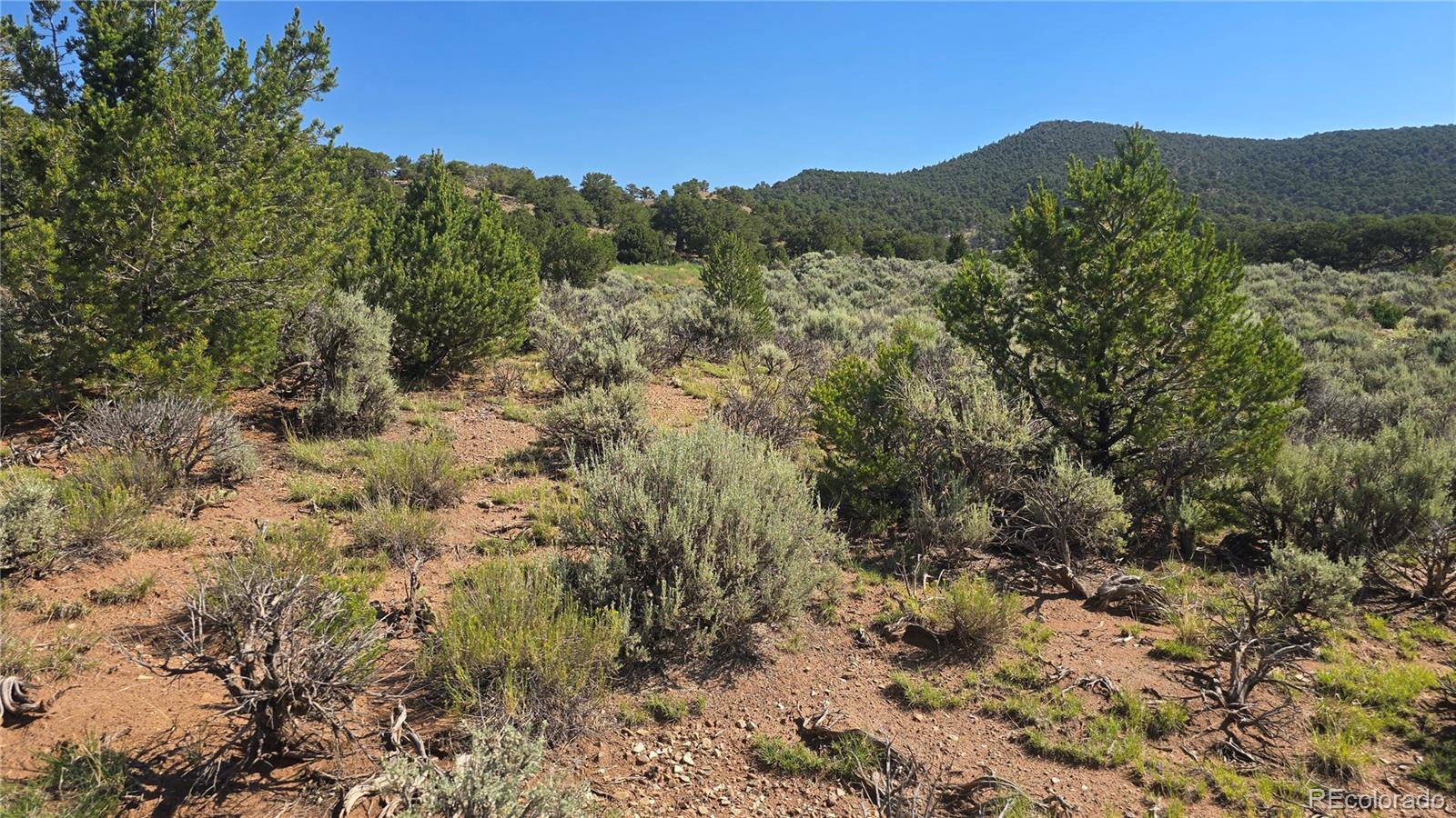 Lot 4296 Renfield Road