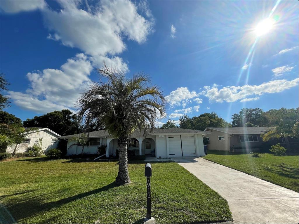 7912 Cherrytree Lane, New Port Richey, FL 34653