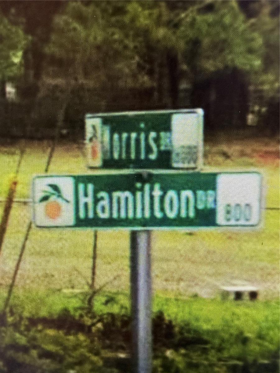522 Hamilton Drive