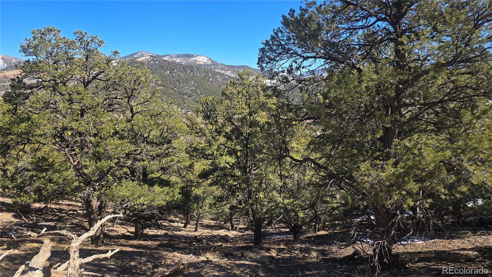 Lot 7527 Mcgillicuddy Road