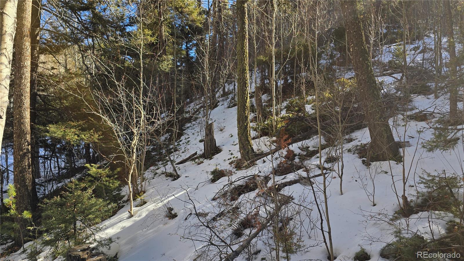 Lot 5540 Joy Road