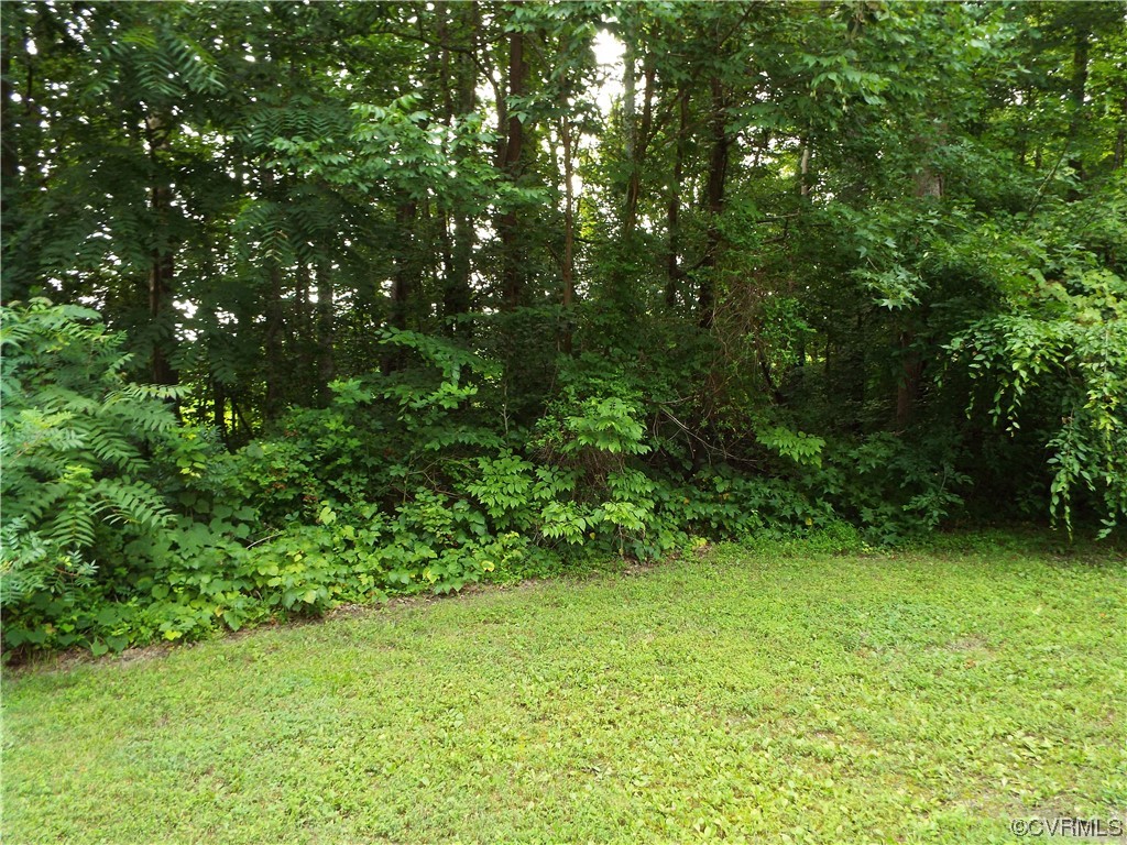 Land for sale in Ruther Glen, Virginia, 2316509
