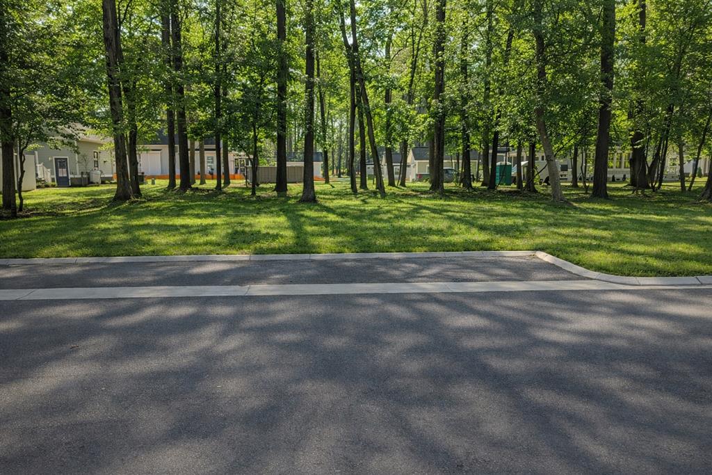 117 William Scott Ln 344