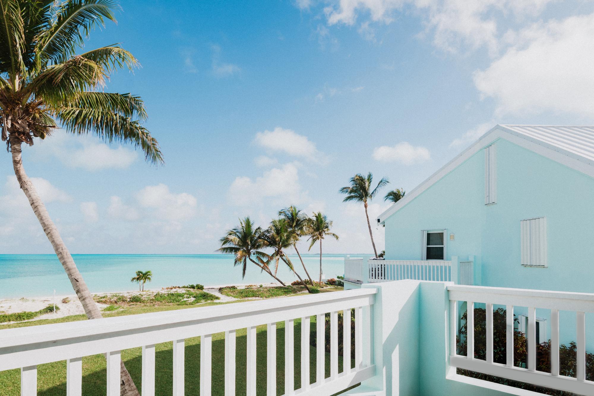 Royal Poinciana 2611