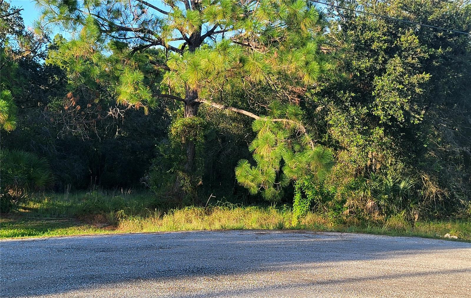 401 Indian Meadow Court