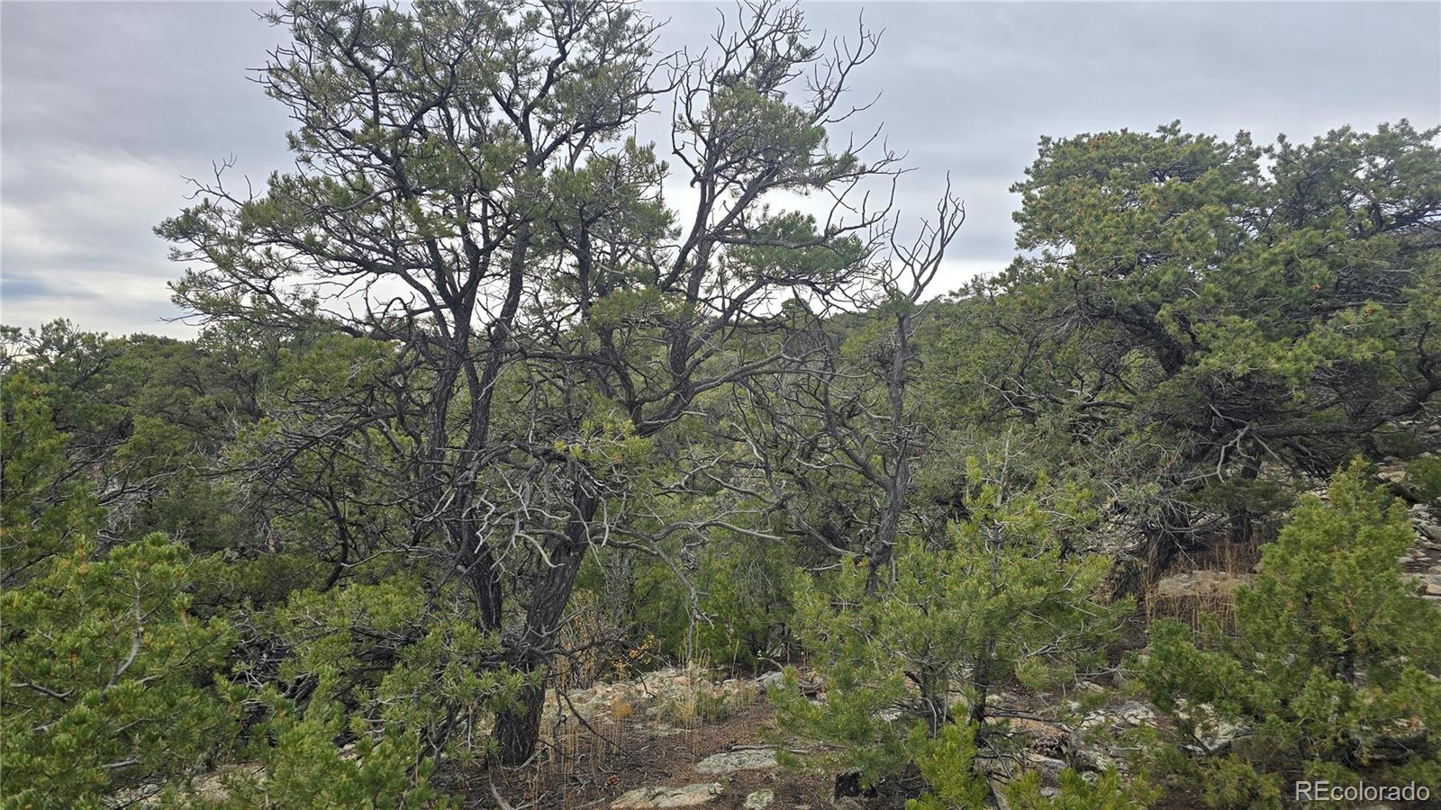 Lot 16 23rd Street
