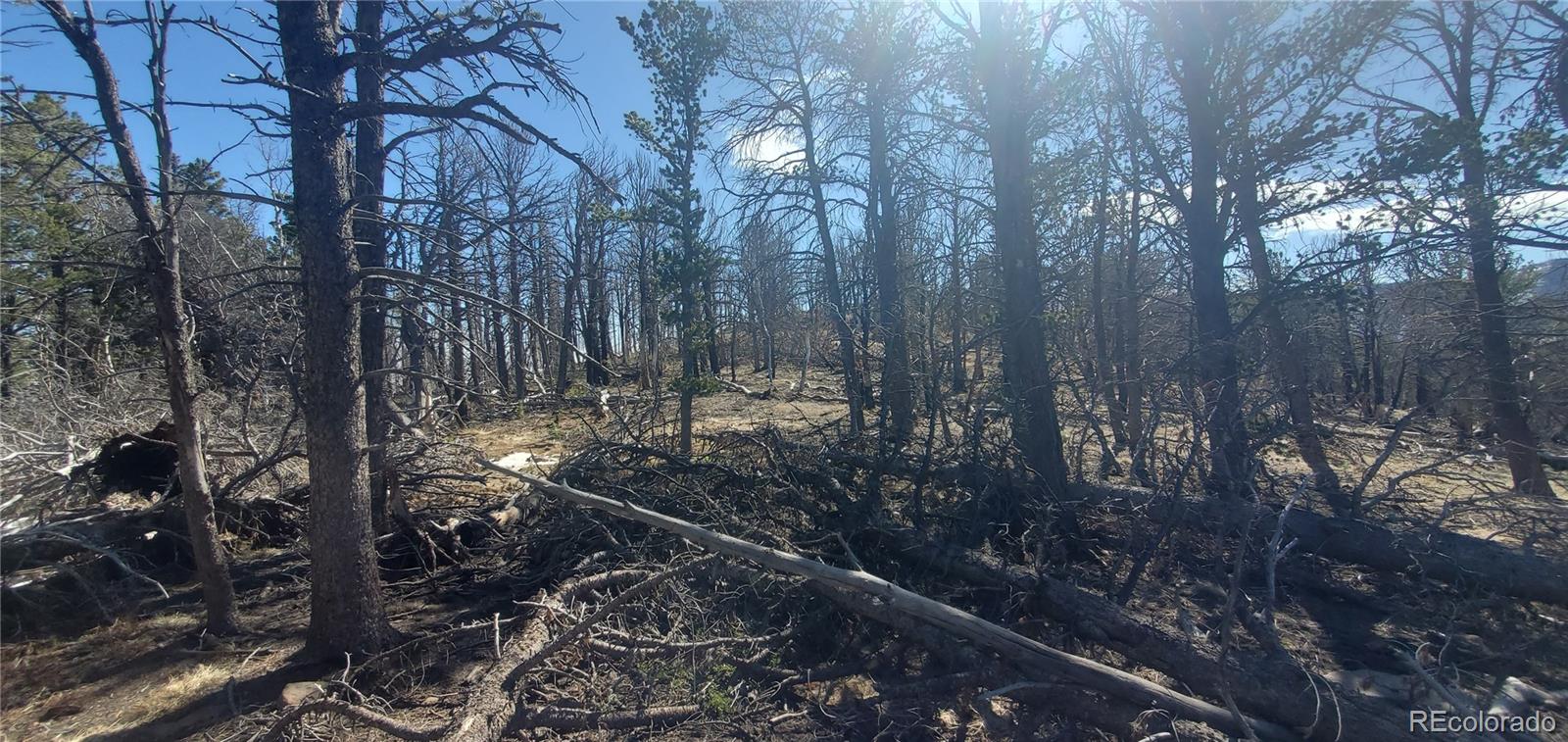 Lot 2739 Newman Place