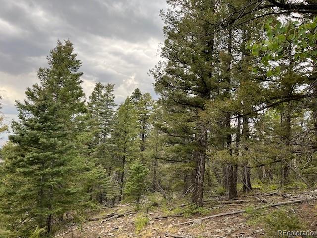Lot 6184 Ryland Road