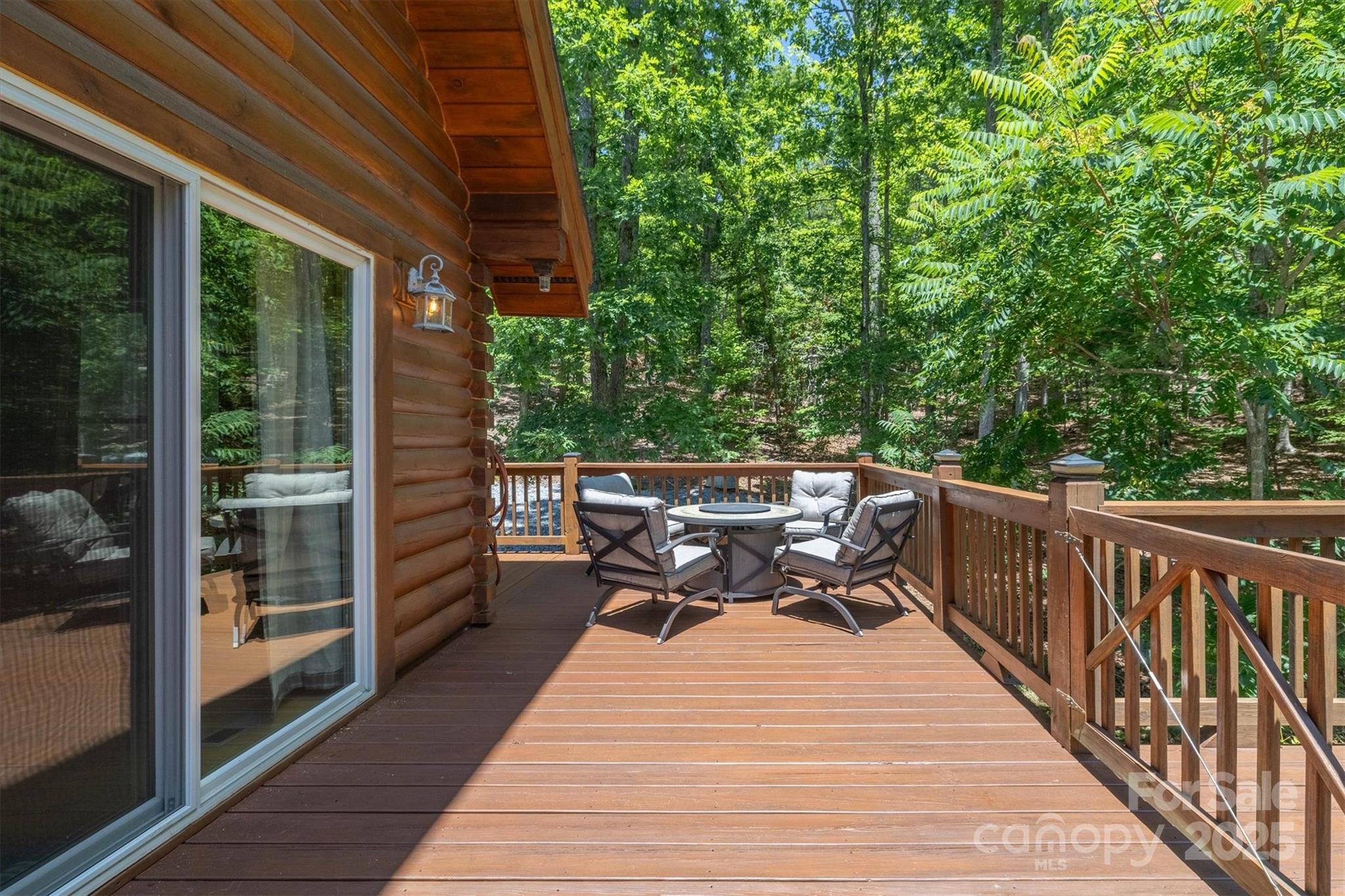 203 Mountain Vista Drive