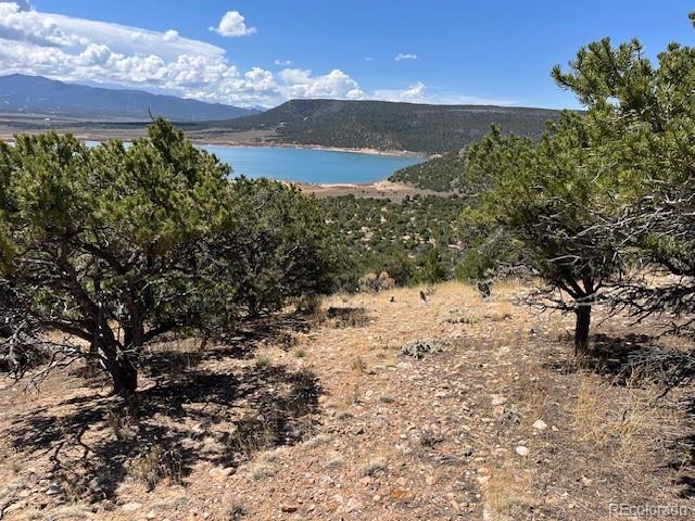 Lot 3306 Fontaine