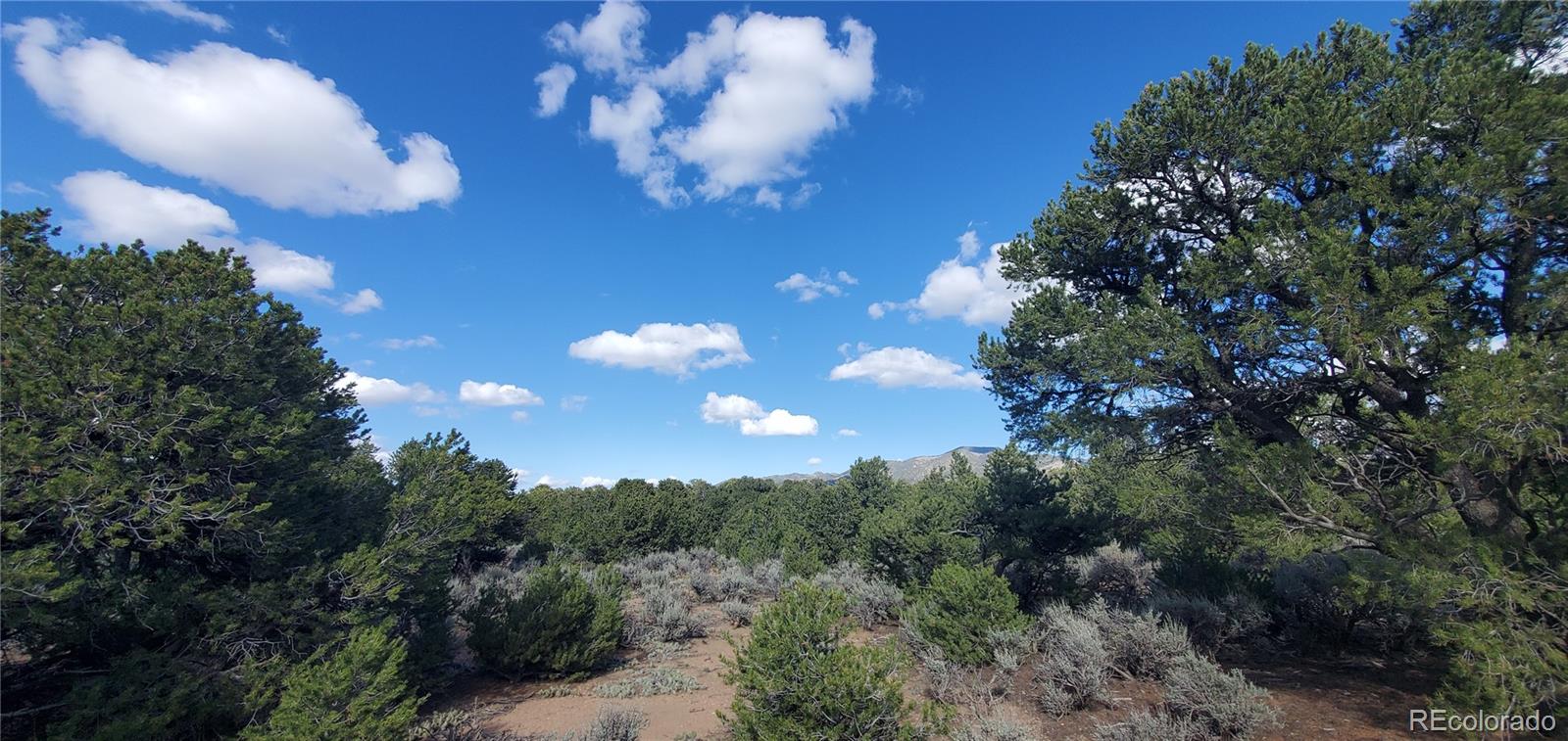 Lot 1656 Montezuma Road
