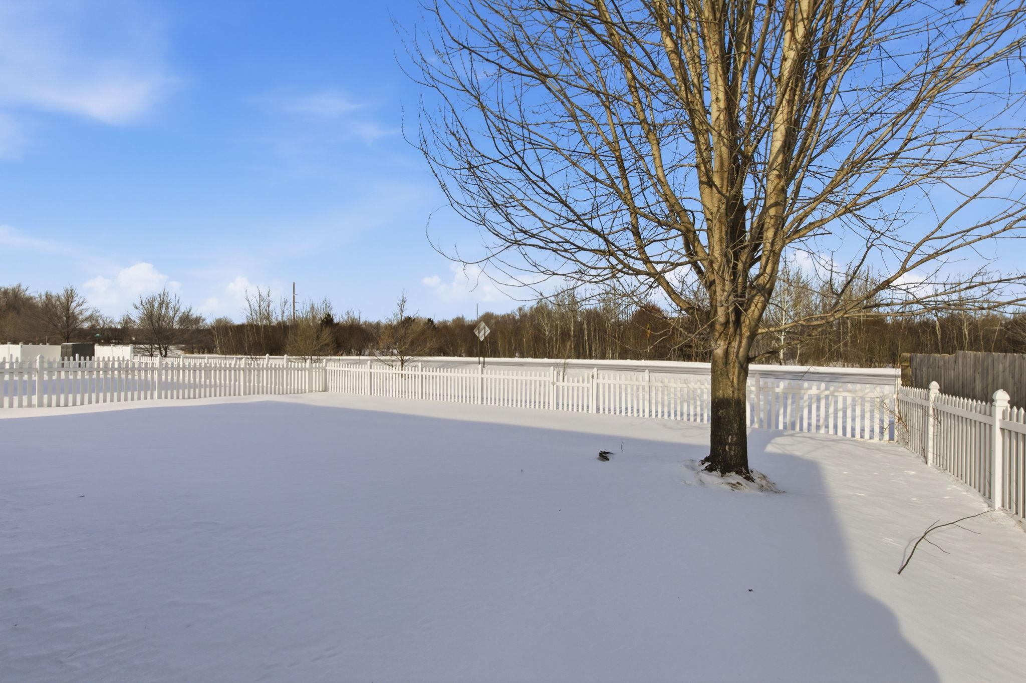 6743 Black Spruce Street