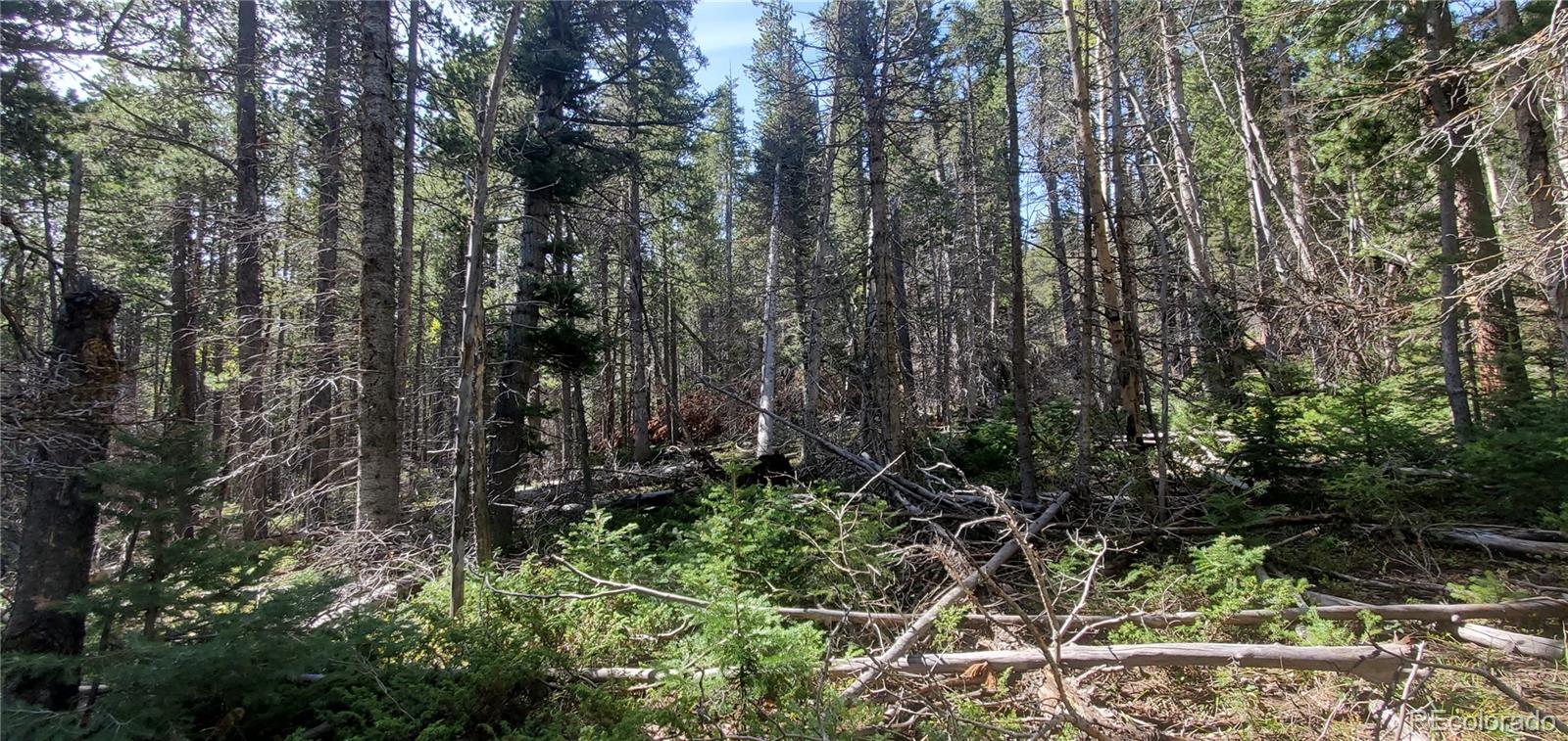 Lot 3031 Bolwell Lane