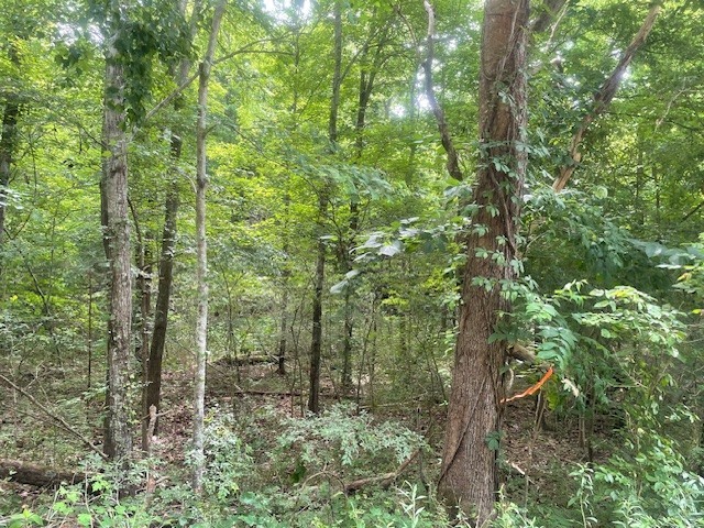 0 Mccollum Road
