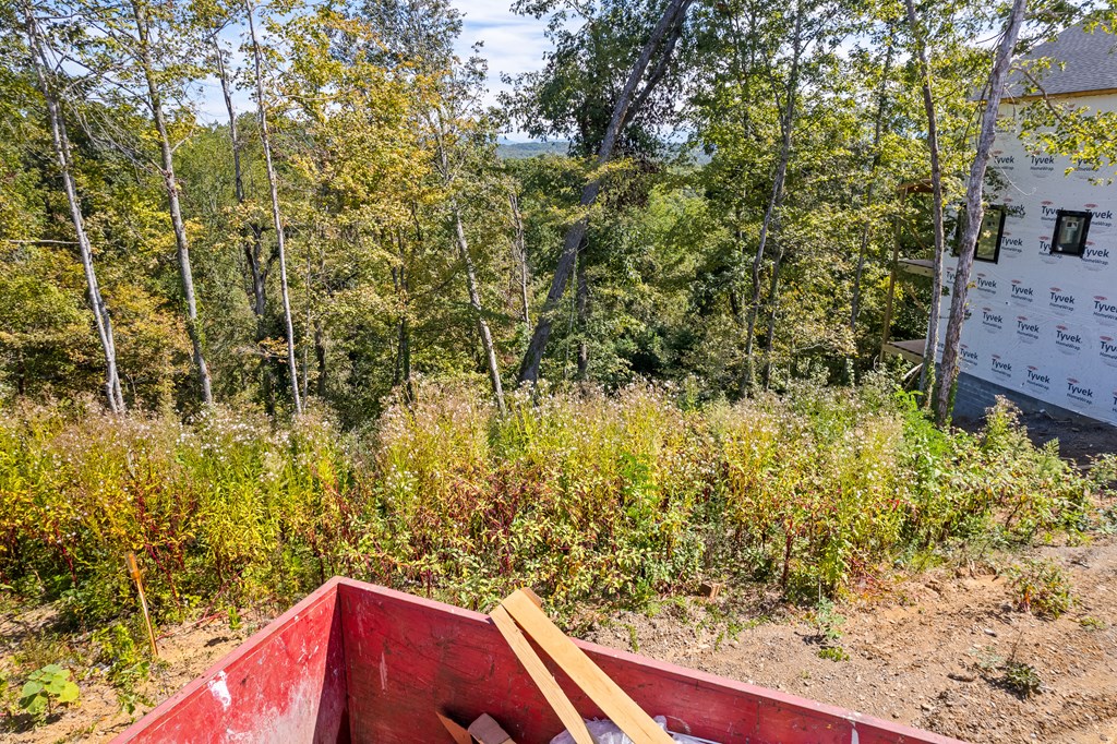 Lot 45 Reedmont Way