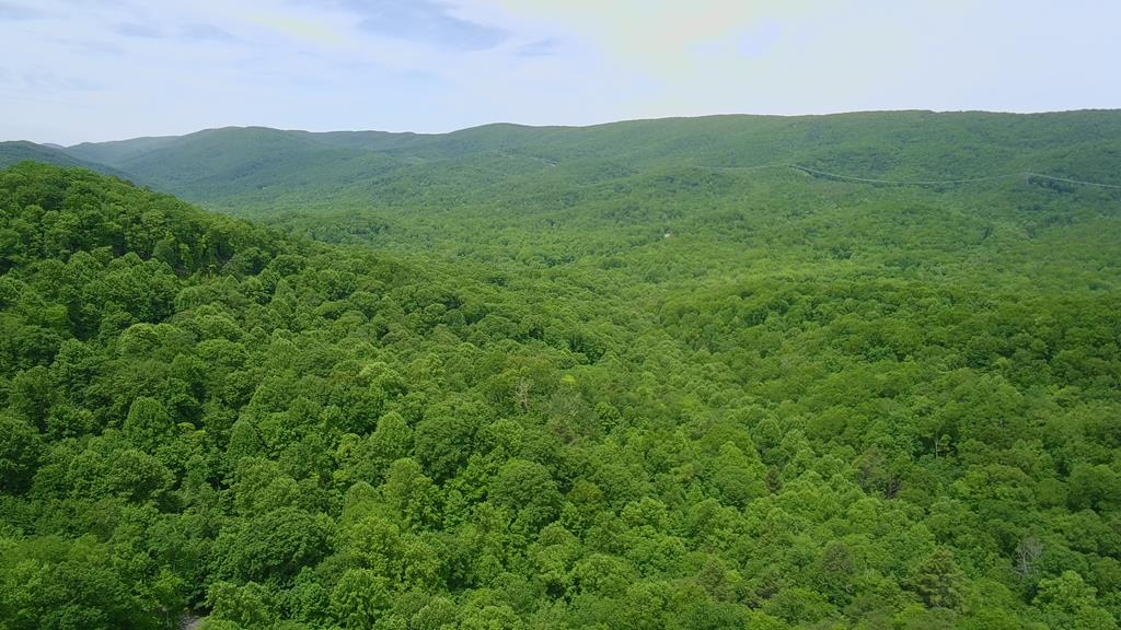 Beauty, privacy, and unmatched seclusion of Lot 15 is a peaceful 23+ acre property located in the prestigious gated community of Cove Creek in the Blue Ridge Mountains of Tazewell County, Virginia. This mostly wooded tract offers a peaceful escape with a prepped driveway and multiple potential homesites. Whether you're dreaming of a full-time mountain retreat or a recreational weekend getaway, this property is ready for your vision. Enjoy easy access while preserving your sense of seclusion. Breathtaking mountain views surround you, and the quiet of nature provides the ideal backdrop for relaxation or adventure. As a property owner in Cove Creek, you'll also have access to a private community recreation area featuring picnic tables and serene creek frontage—perfect for spending time with family, fishing, or simply enjoying the outdoors. Don't miss this opportunity to own a slice of mountain paradise in one of Tazewell County's most exclusive communities. Build your dream home or create your own private retreat in the Blue Ridge Mountains. Contact us today to schedule a showing or request more information about this unique and ready-to-build mountain property!