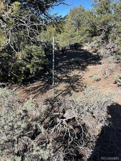 Lot 4 Elk Park Road