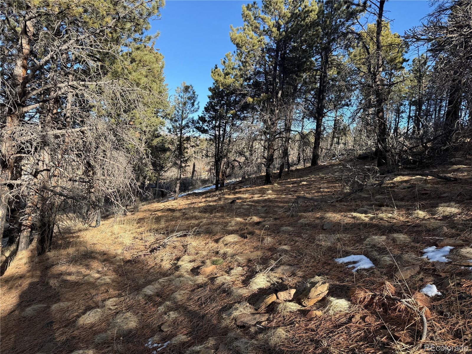 Lot 356 Spangle Drive