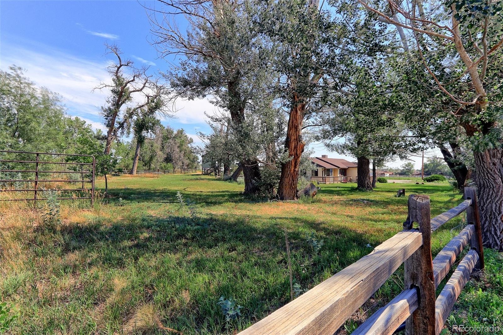 Beautiful Acreage in Eastlake located just East of Eastlake #3 Park and Nature Preserve.  This 5.431 Acre Property has a Small Ranch Style Home on it.  Property Being Sold for Land Value.