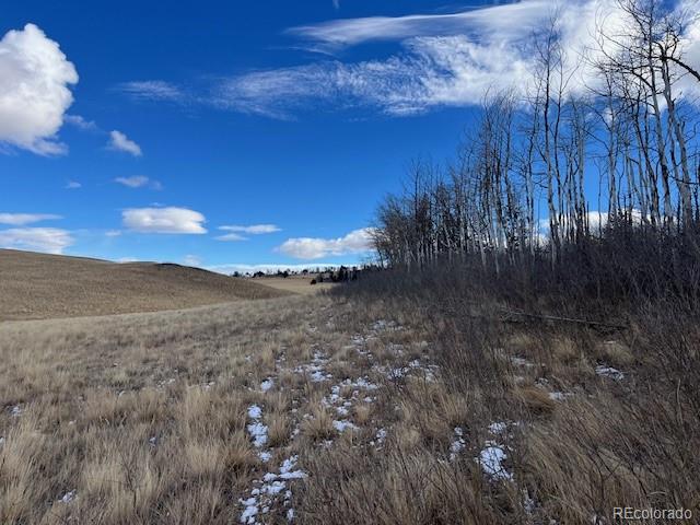 Lot 2397 Petito Drive