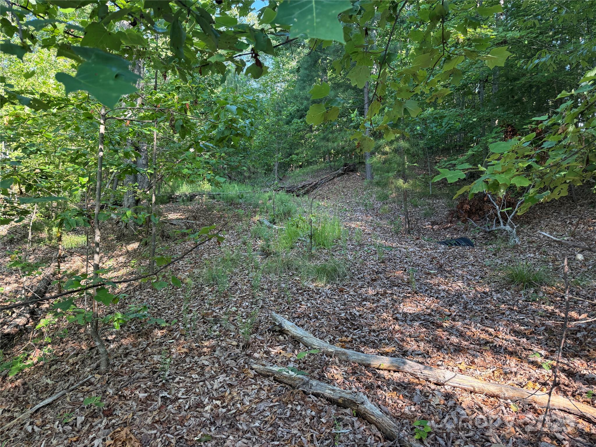 Lot 333 Scenic Vista Drive 333