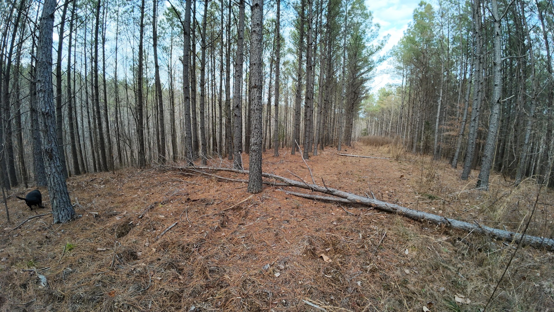 240 Brookstone Dr