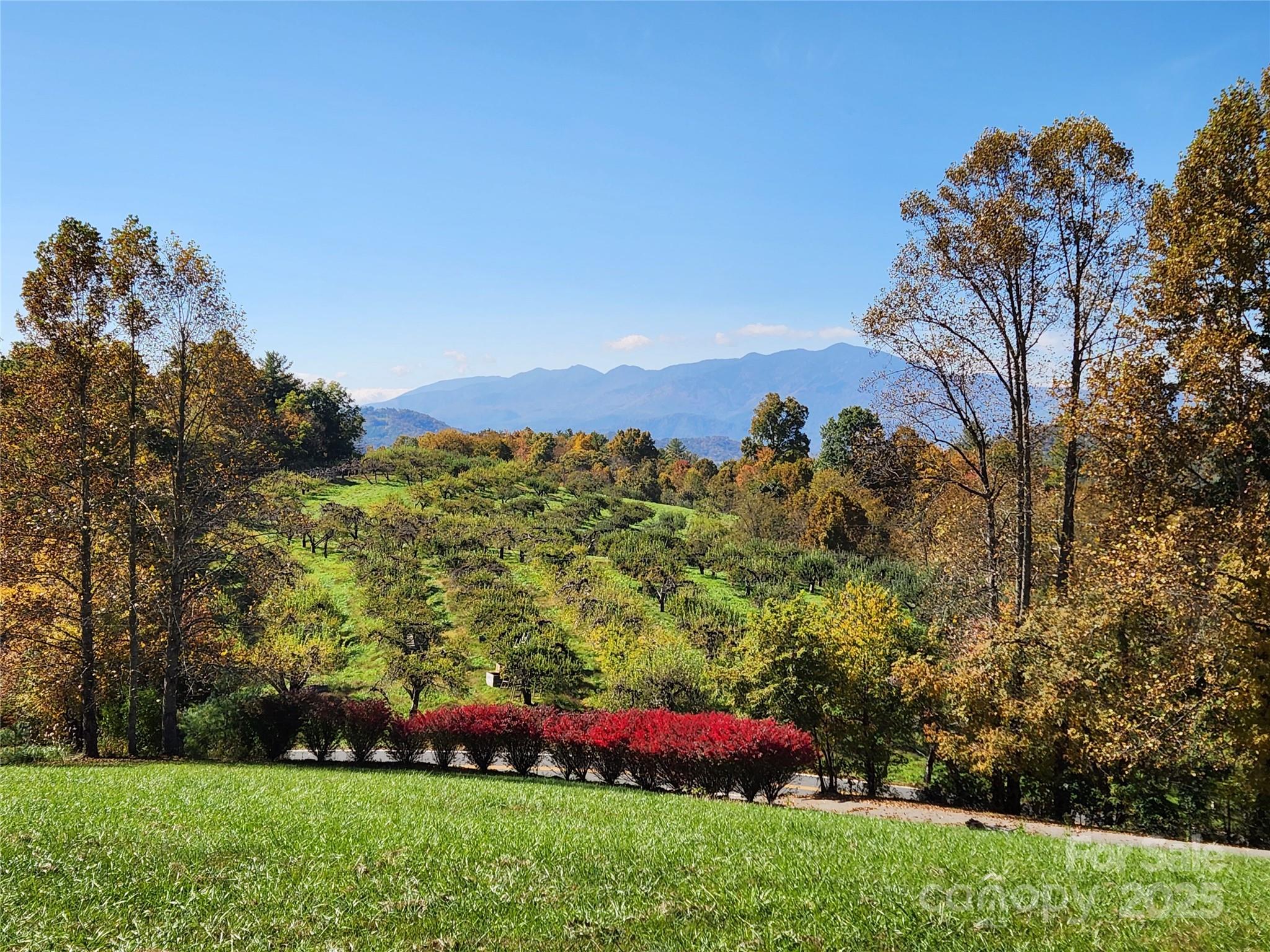 389 Orchard Road