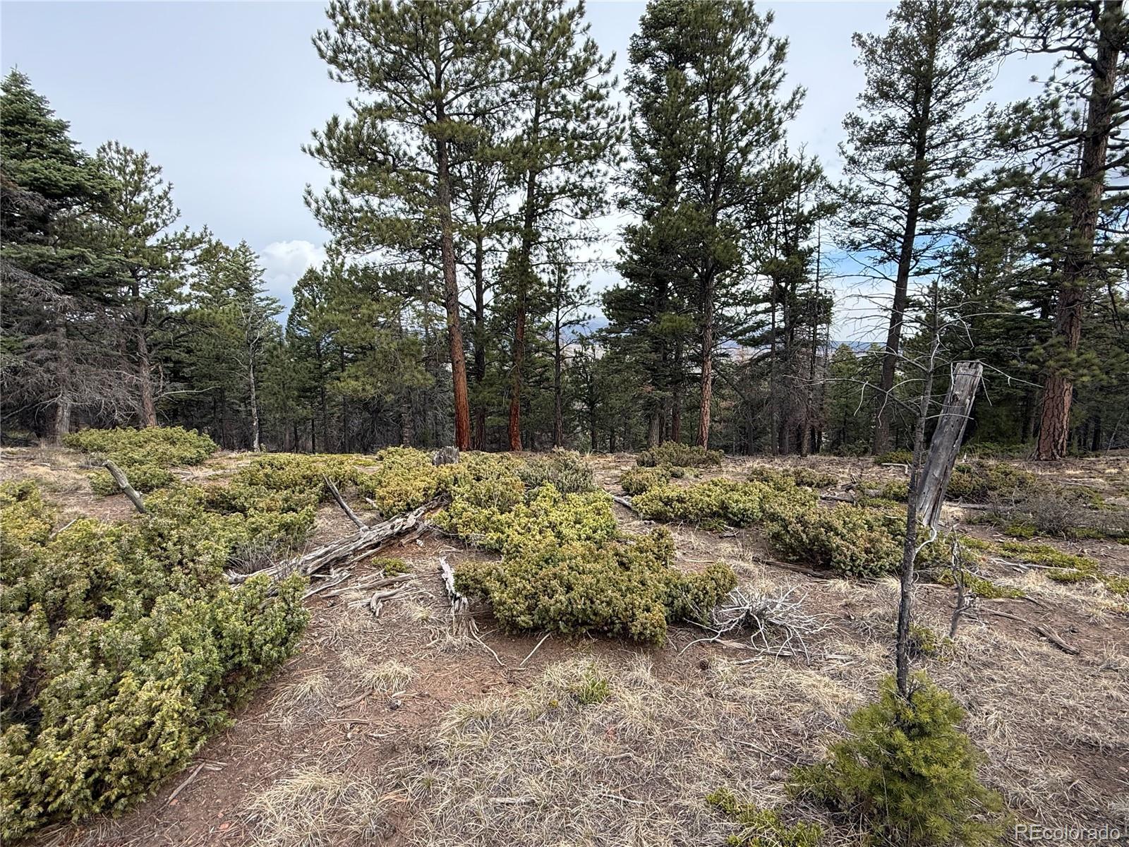 Lot 152 Tahmoush Lane