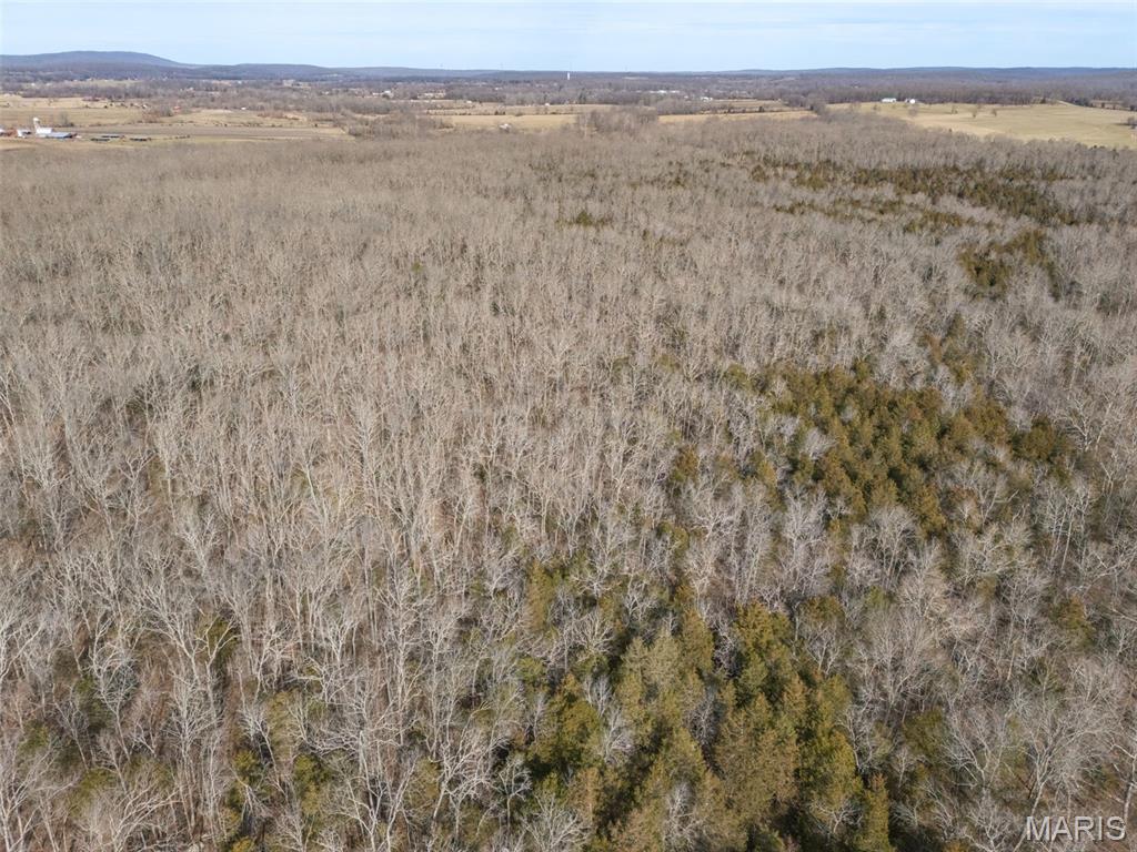 12.5+/- Acres On Effin Road