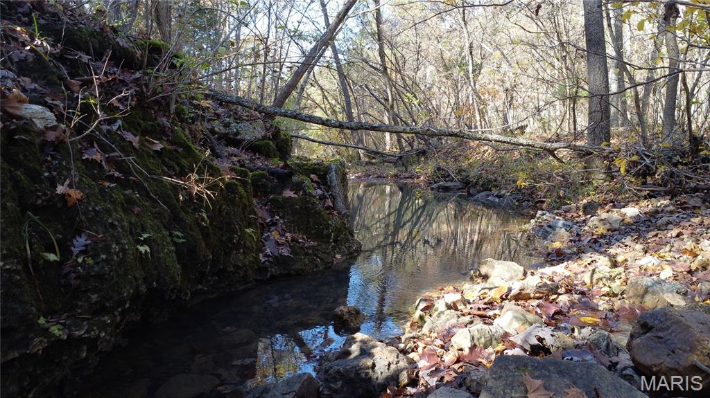 10256 Christina Trail