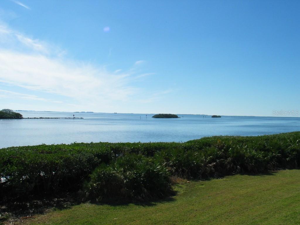 Experience Gulf-Front Living at Its Finest in this 24/7 guard gated resort like community!Wake up to shimmering water, watch dolphins play from the privacy of your own home, and end each day with spectacular sunsets over the Gulf. This beautifully renovated 2-bedroom, 2-bath condo in Tarpon Springs offers the perfect blend of coastal serenity and modern comfort, and best of all, this is one of the few units with no stairs to climb!Inside, you’ll find a bright, open layout with fresh updates throughout—including a new HVAC system and water heater for peace of mind. The living and dining areas flow seamlessly toward the enclosed balcony, framing the breathtaking water views that make this home truly special.Located in the sought-after boating community of Tarpon Cove with its own marina. Spend your days enjoying two swimming pools, tennis courts, a fitness center, clubhouse, art studio, and a scenic nature trail. Whether you love being on the water, staying active, or simply relaxing outdoors, there’s something here for everyone.You’ll also be just minutes from beautiful beaches, shopping, dining, golf courses, and all the best of the Gulf Coast—yet tucked away in a peaceful, community-oriented setting.Move-in ready and perfectly positioned, this condo is ideal as a full-time residence, seasonal escape, or investment opportunity. Come experience the coastal lifestyle you’ve been dreaming of!