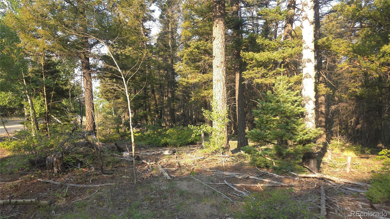 Lot 5768 Clawson Road