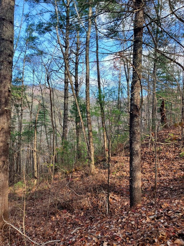 UNRESTRICTED! BUILDERS, INVESTORS, DEVELOPERS! Property also has access to a drilled well (pump and water line needed). Fiber Optic Internet and electric available on P'tree Mtn Estates Dr. If you are seeking UNRESTRICTED acreage, look no further! Seasonal mountain views, top a few trees and have year-round mountain views! So many possibilities for investors or developers. Can be purchased with parcel 6-3, 1+ acre lot for additional privacy. Just minutes from hospital, Harrah's Casino, shopping, and downtown Murphy. This is a must see in a great area! *Use caution on Katerina Lane - asphalt recently treated with moss removal treatment and may be slippery*