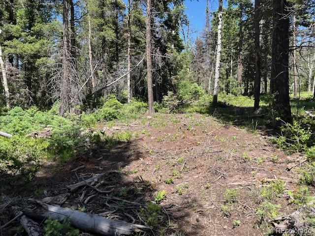 Lot 2449 Petito Drive