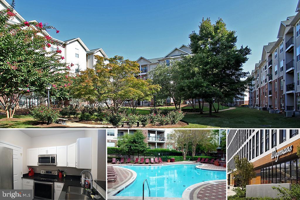 1601 Spring Gate Drive 1106