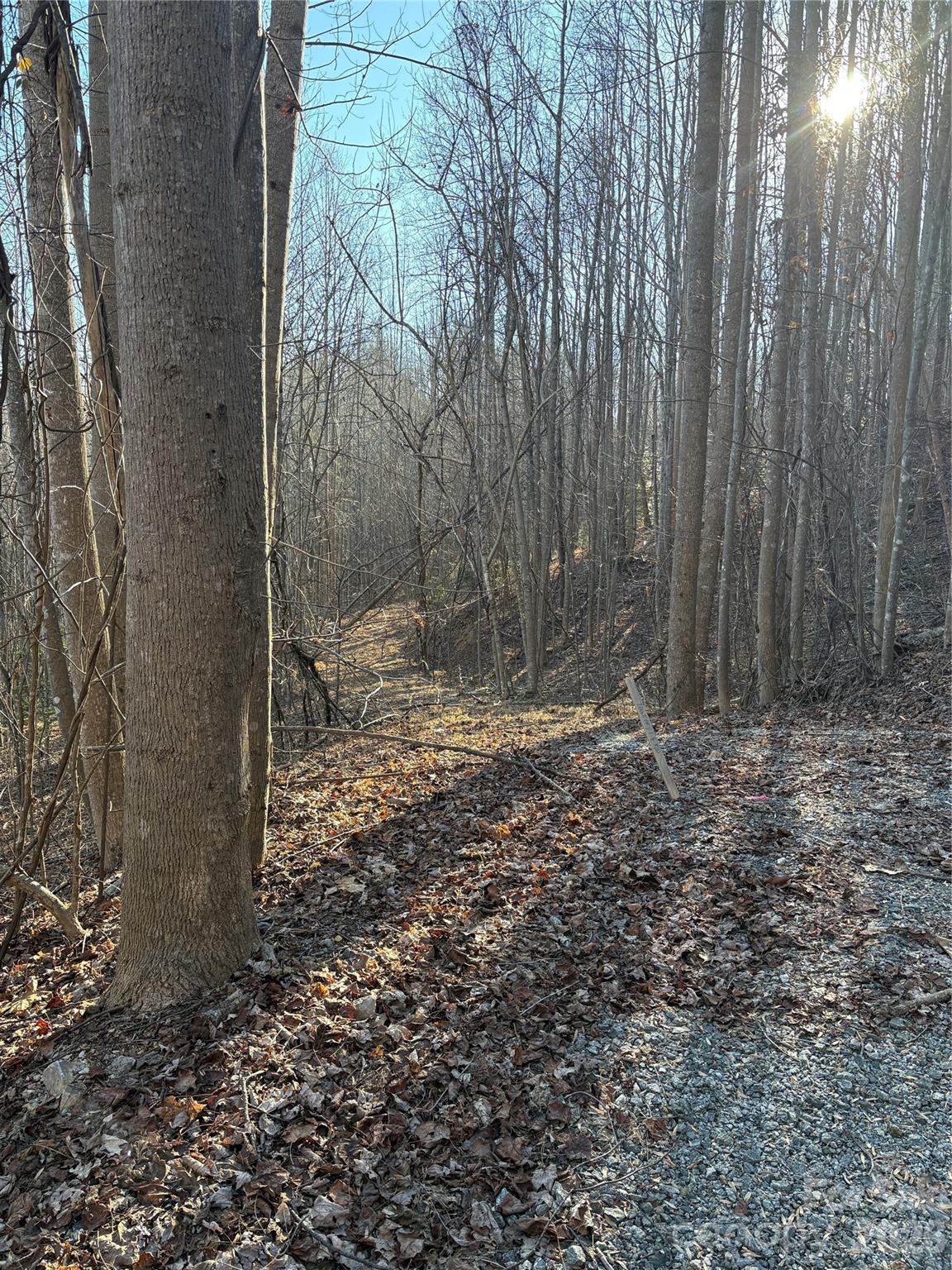 V/L Brindlewood Drive 38V