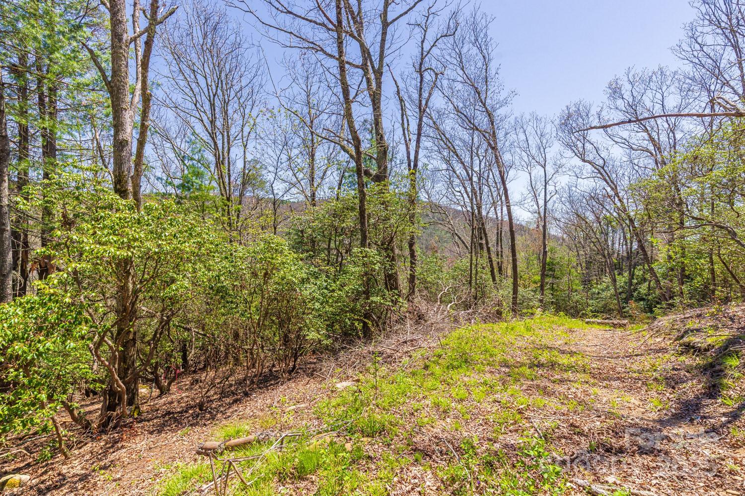Build Your Mountain Dream in Fairview Forest! Discover your ideal homesite in the sought-after Fairview Forest community—a peaceful, private mountain neighborhood just minutes from Asheville. This beautiful lot comes with big advantages: the driveway is already cut in, saving you time, effort, and thousands in prep costs. Even better, a site plan and architectural home plans are included—another huge savings as you bring your vision to life. Surrounded by native hardwoods and lush rhododendrons, you’ll enjoy privacy, tranquility, and gorgeous seasonal views. This ready-to-build property is a rare find in one of Fairview’s most desirable locations. Fairview Forest is a 700-acre planned community featuring paved roads, community hiking trails, and year-round natural beauty. You’re just 5 miles from the local grocery, post office, and dining, and 5 miles to Trout Lily Organic Grocery & Deli and Whistle Hop Brewery for family fun. Everything you need to start building is already in place!