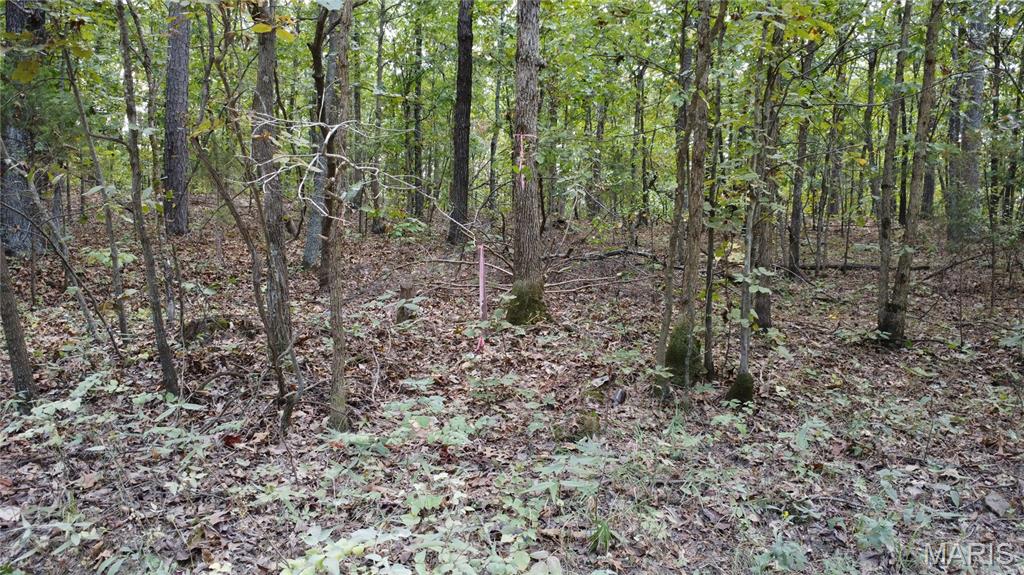 10255 Squaw Creek Rd