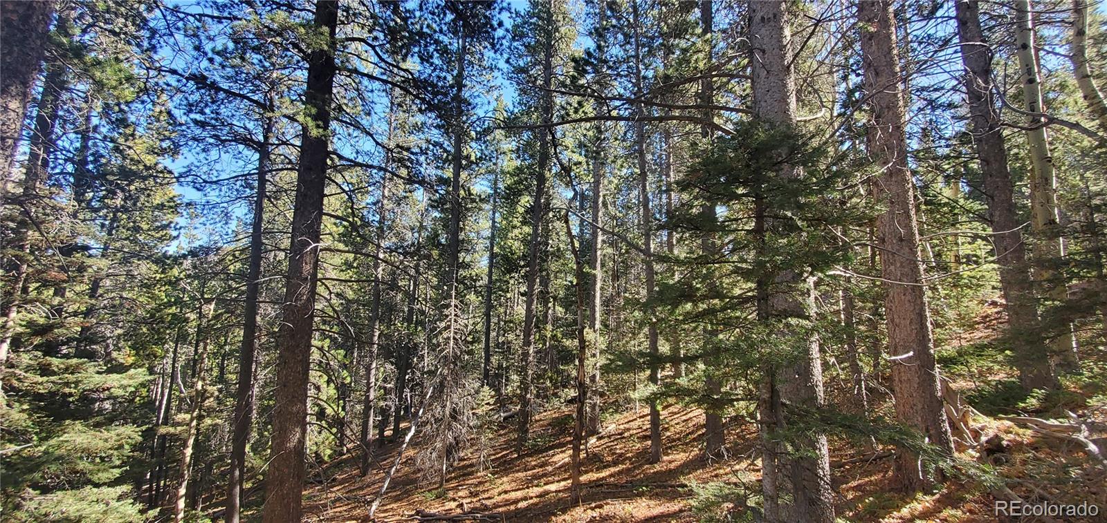 Lot 3023 & 3024 Bolwell Lane