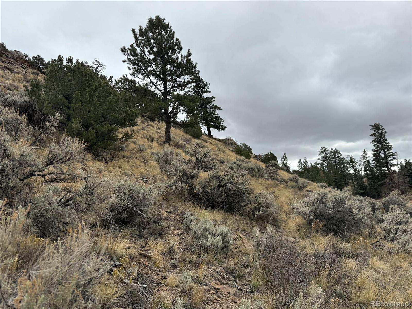 Lot 133 Griffiths Drive