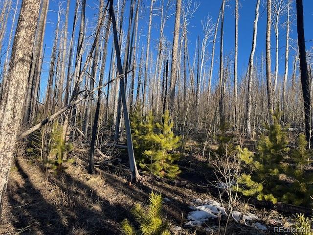 Lot 1502 Vonheyl Lane
