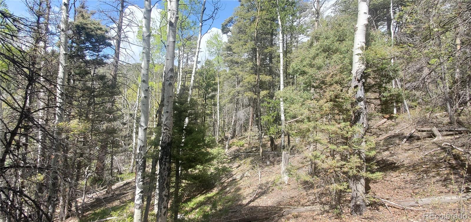 Lot 5610 Dawson Road