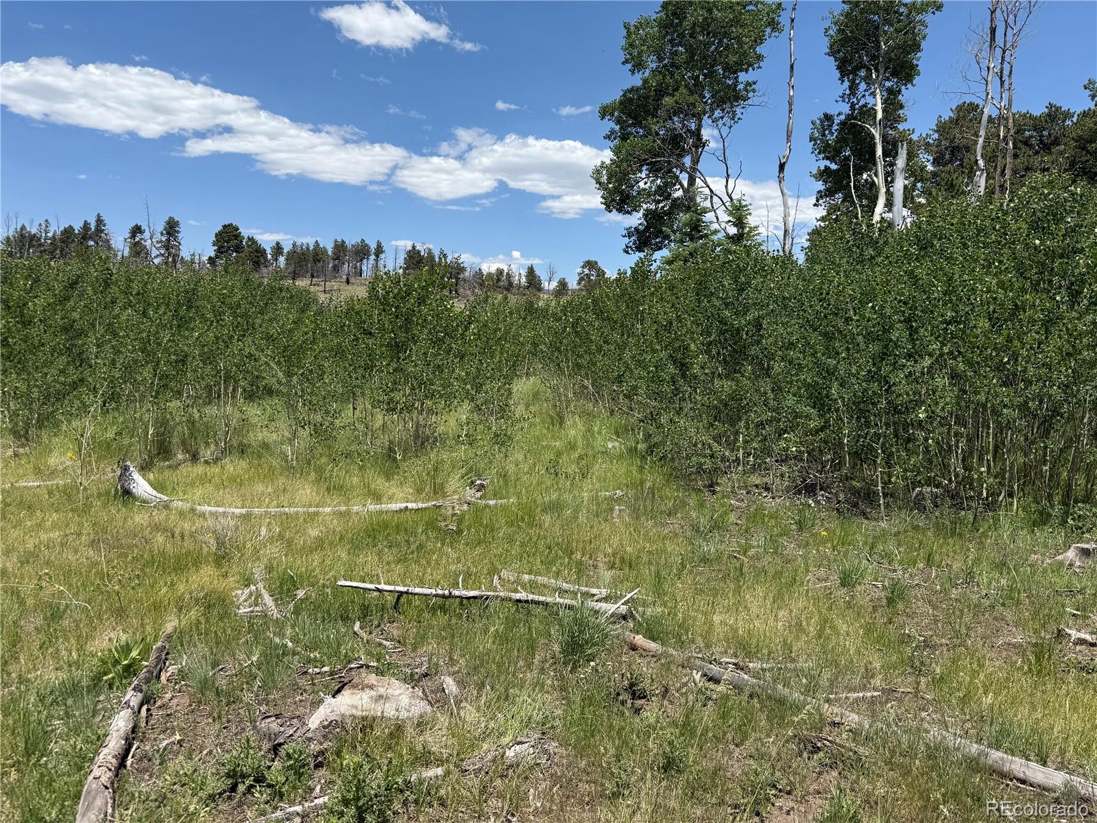 Lot 1103 Emery Loop