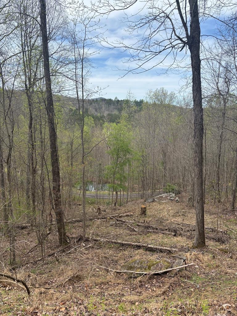 Build your dream mountain retreat in the desirable Deerwood Mountain Estates!  This beautiful vacant lot offers stunning long range mountain views and the perfect setting for your future cabin or full-time home.  Enjoy the convenience of underground power and shared wells, making building even easier.  Ideally located less than two hours from Atlanta area and  Chattanooga, this property combines peaceful mountain living with accessibility.  Just minutes from Harrah's Valley River Casino, as well as outdoor adventures including whitewater rafting, hiking, and exploring the scenic Great Smoky Mountains. Centrally positioned near the charming mountain towns of Murphy, Blue Ridge, and Blairsville, you'll have easy access to dining, shopping, and local attractions while enjoying privacy and breathtaking natural surroundings.  Don't miss this opportunity to own a piece of the North Carolina mountains.